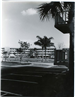 mid-royal palm condo 2-1974