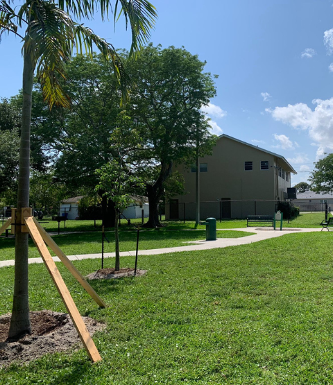 carter woodson trees