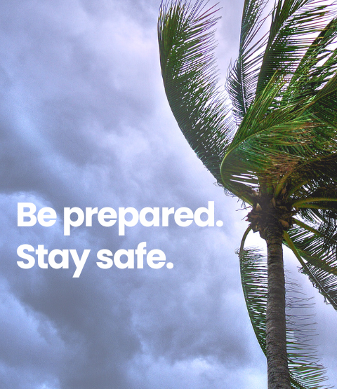 Photo of dark sky with palm tree blowing in the wind 