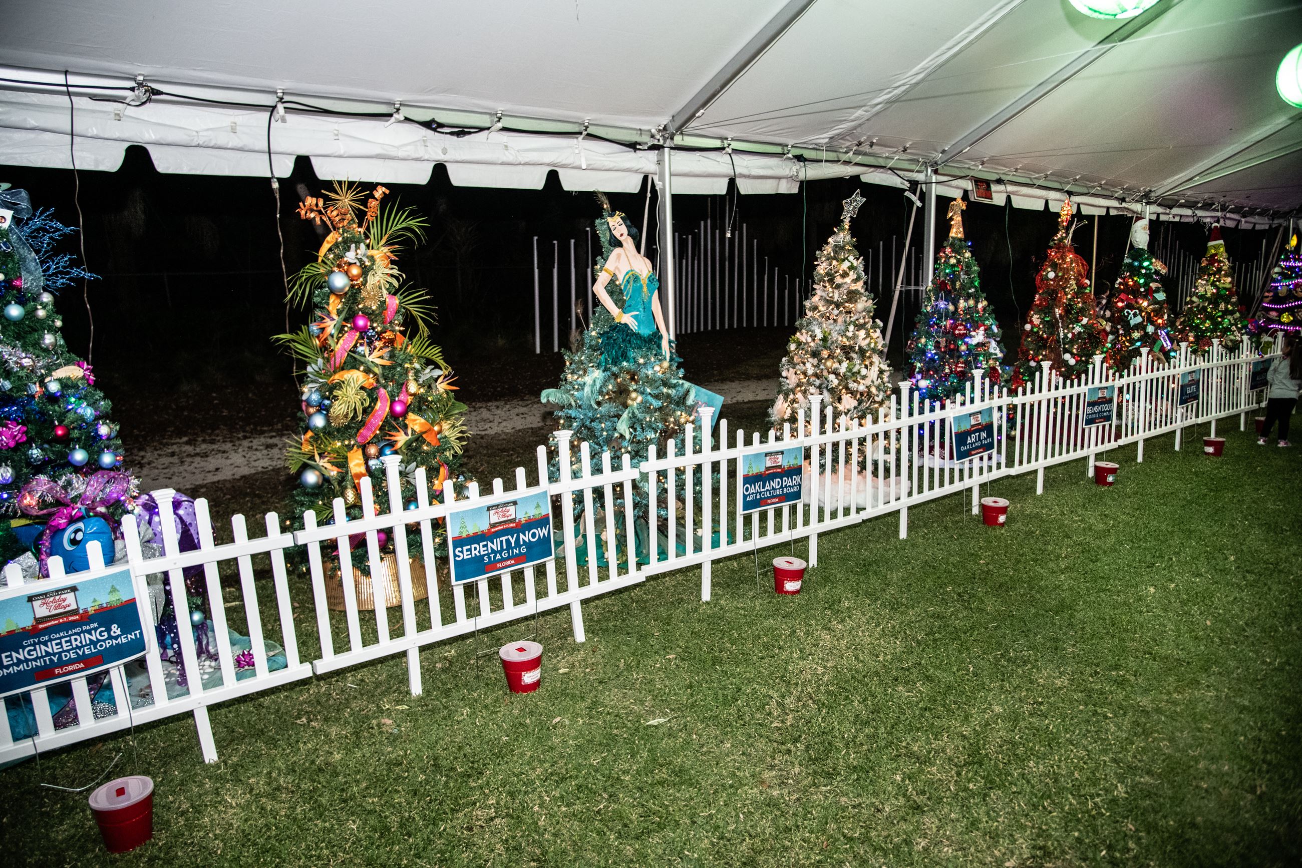 Photos of holiday trees 