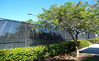 Dillon Tennis Center-5